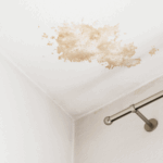 Water damage stain on ceiling showing consequences of unmanaged roof leaks requiring prompt attention and repair.