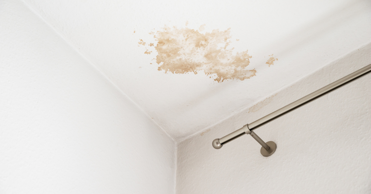 Water damage stain on ceiling showing consequences of unmanaged roof leaks requiring prompt attention and repair.