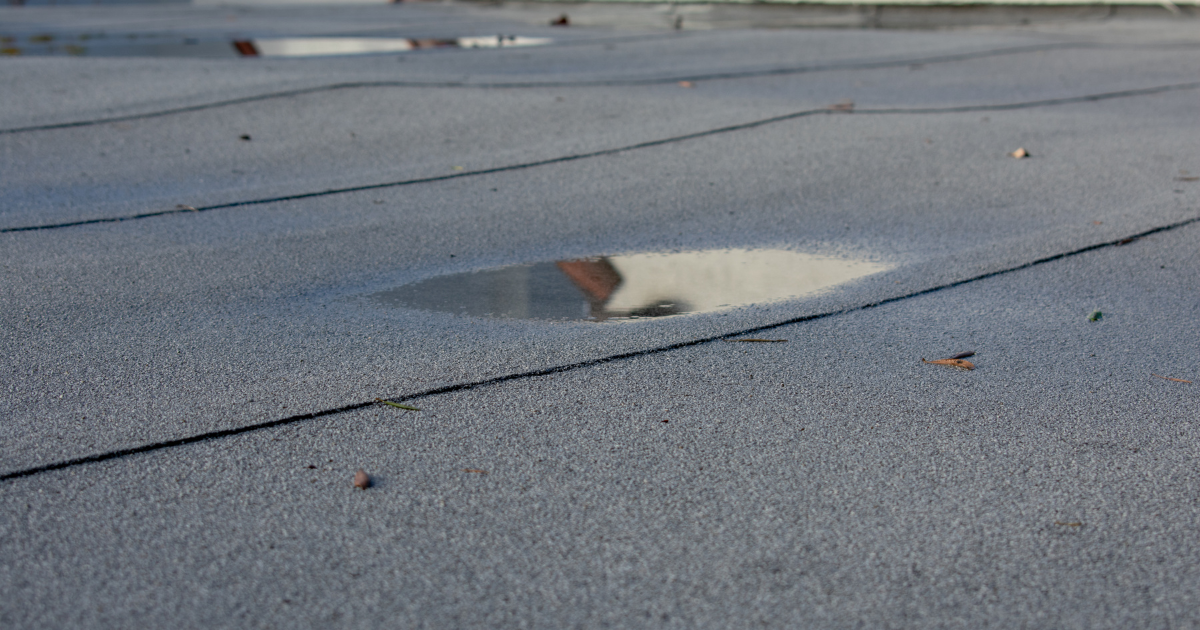 Ponding water on flat roof causing drainage problems in Detroit.